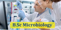 BSc Microbiology